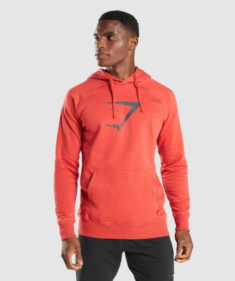 Bluzy Z Kapturem Gymshark Sharkhead Infill Męskie Pomarańczowe | PL 409ZFO